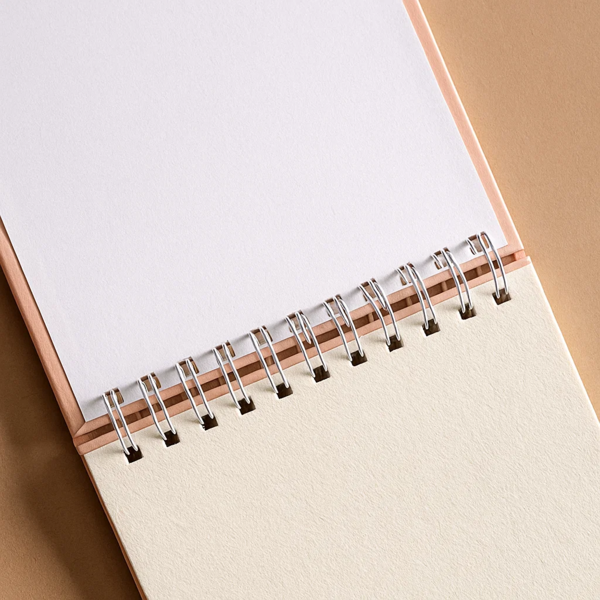 Capybara Sketching Book