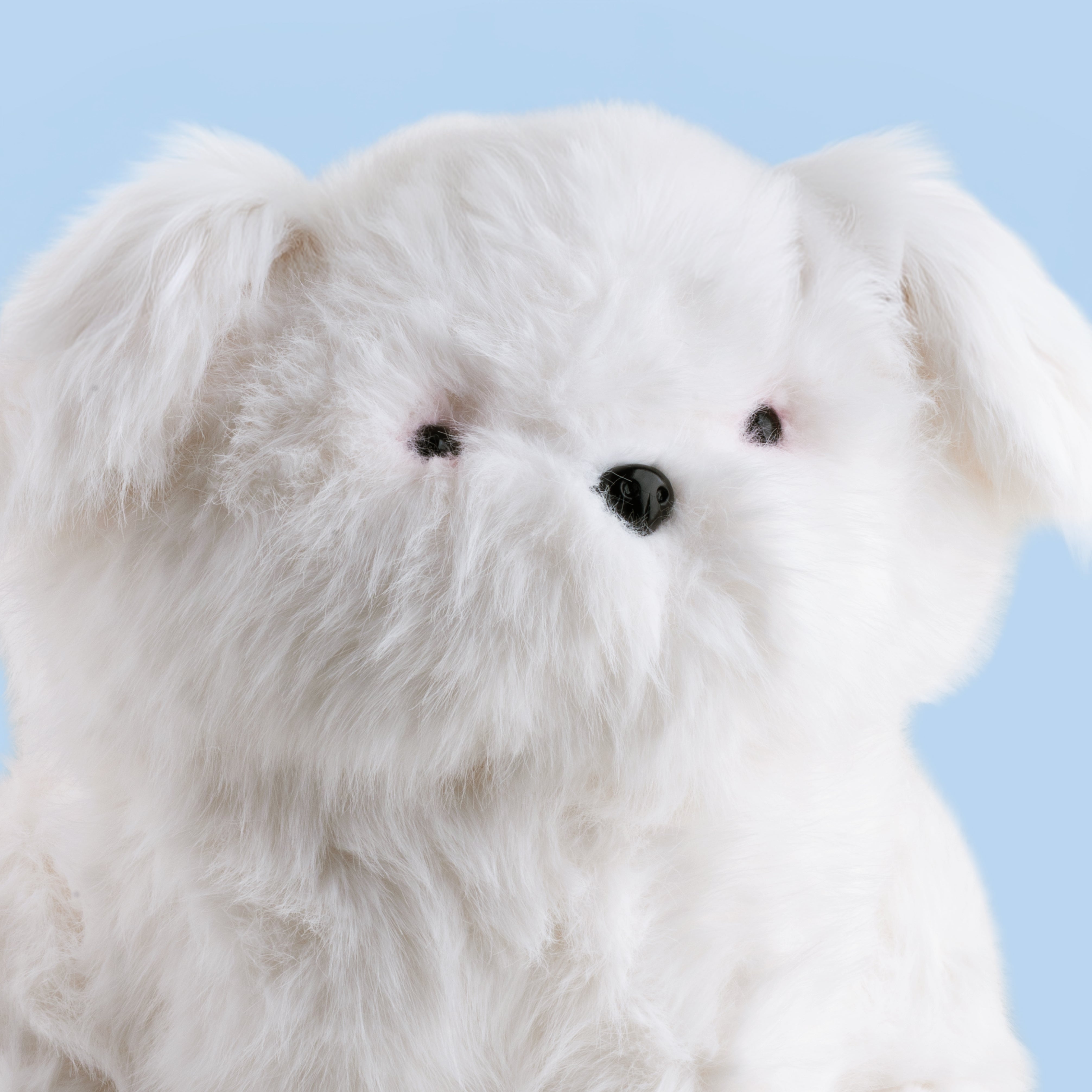Woofy Large Plush Toy